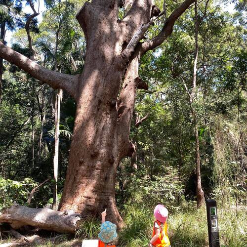 Investigating Relationships in Nature