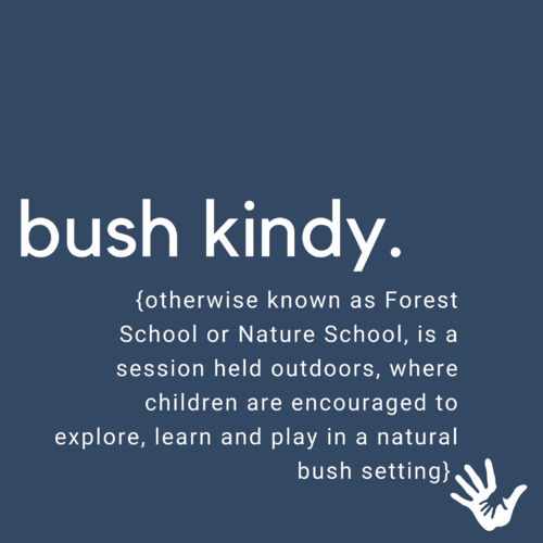 Bush Kindy - Did you know?