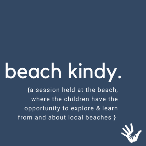 Beach Kindy - Did you know?