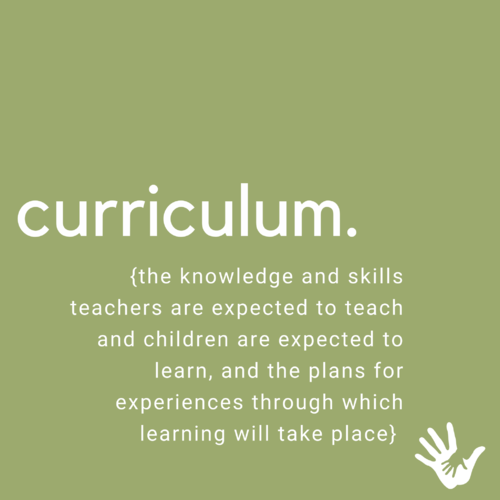 Curriculum -  Did you know?