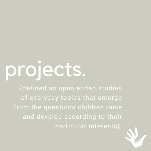 Projects - Did you know?